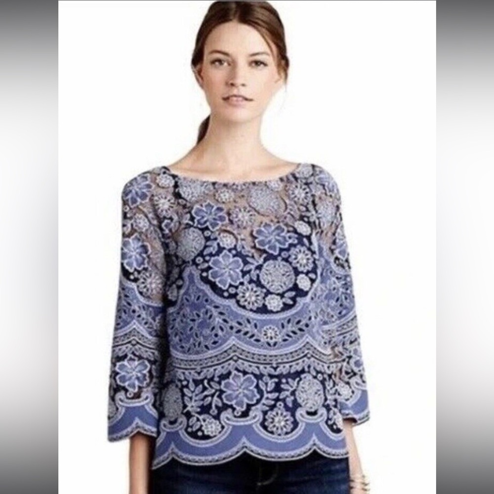 HD in Paris Scalloped Lace Blouse